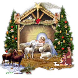 Boże Narodzenie akcja Caritas