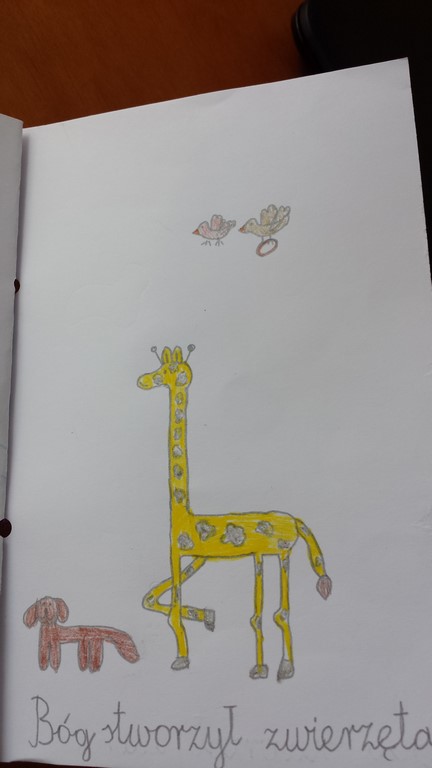 20160924 115828 Kopiowanie